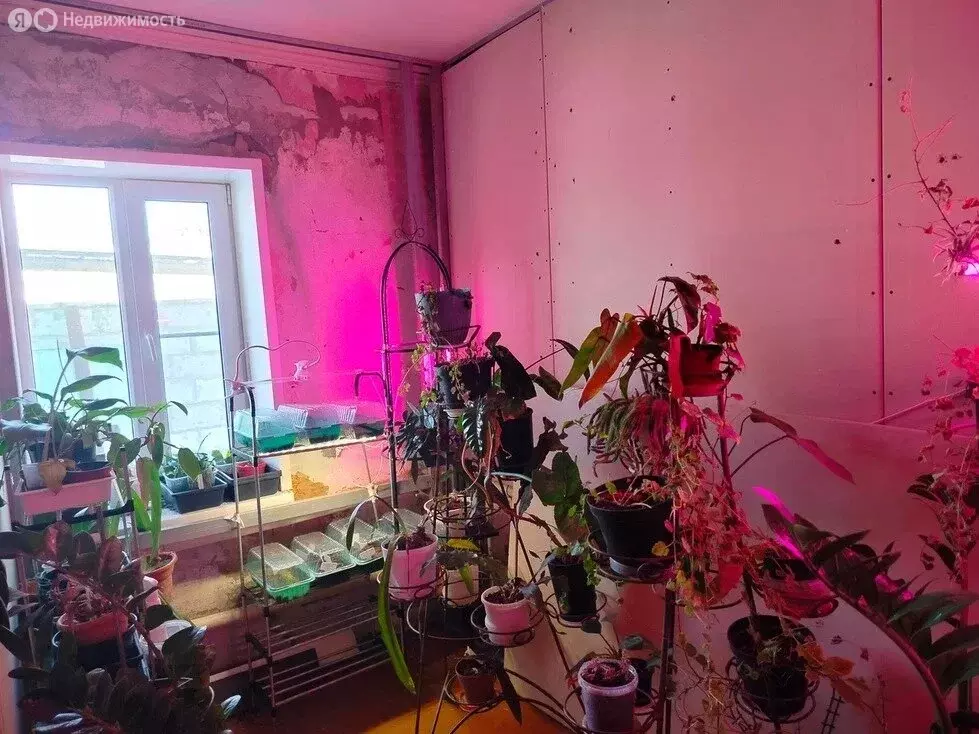 Дом в Каменский район, хутор Красновка (110 м) - Фото 1