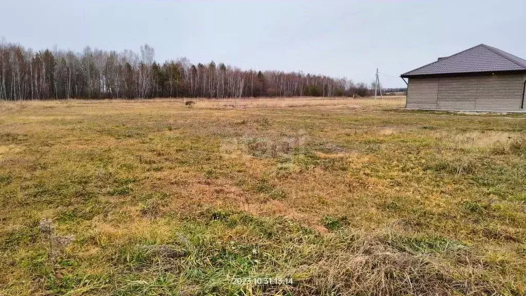 Участок в Амурская область, Благовещенский район, с. Владимировка  ... - Фото 1