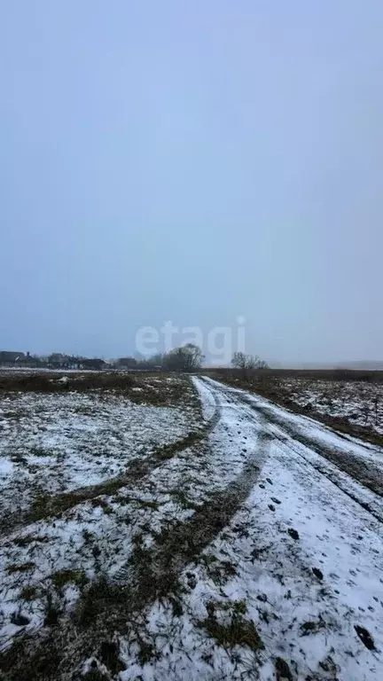 Участок в Курская область, Курский район, Щетинский сельсовет, д. ... - Фото 0