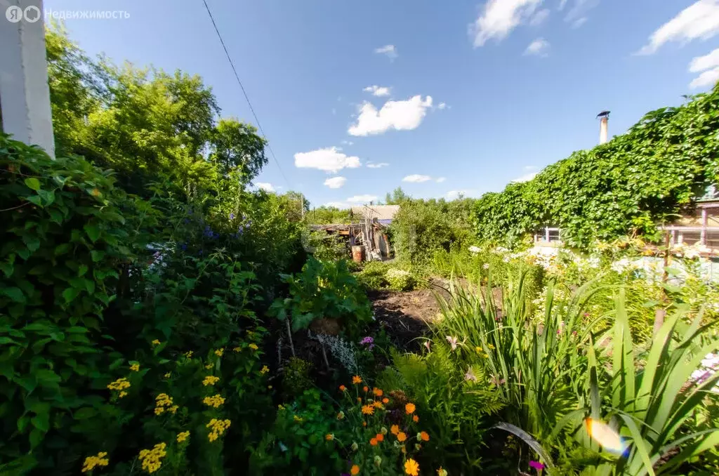 Дом в Шадринск, СНТ ШААЗ 1 (20 м) - Фото 1