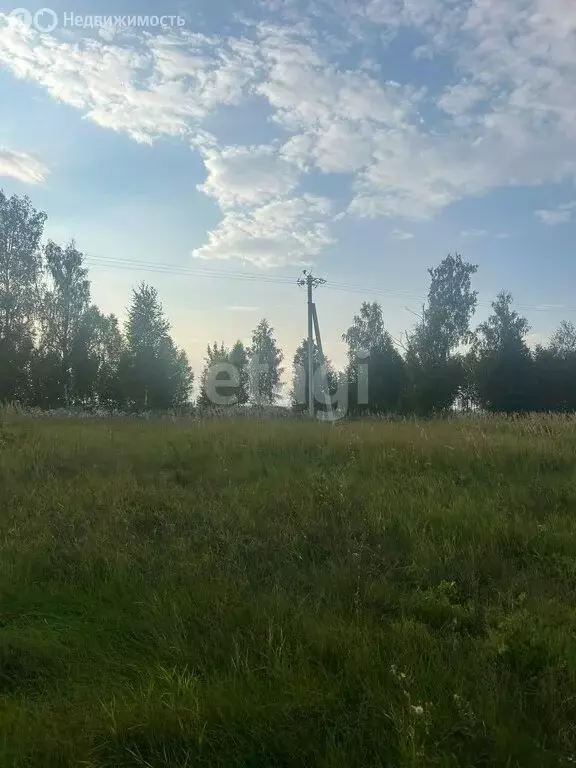 Участок в Тукаевский район, Малошильнинское сельское поселение, село ... - Фото 1