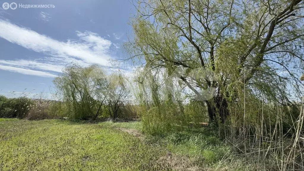 Участок в село Братковское, Степная улица, 46 (30 м) - Фото 1