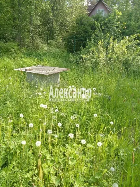 Участок в Ленинградская область, Приозерский район, Мельниковское ... - Фото 2