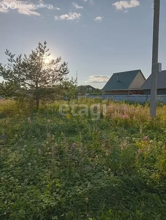 Участок в Отрадовский сельсовет, СНТ Калинка (965 м) - Фото 2