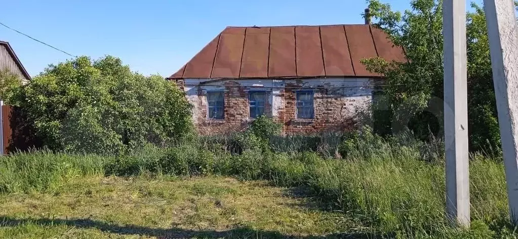 Дом 55,6 м на участке 50 сот. - Фото 0