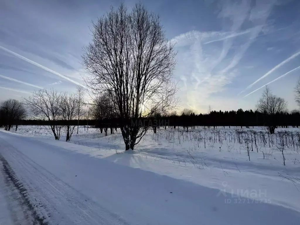 Участок в Ленинградская область, Волосовский район, Клопицкое с/пос, ... - Фото 1