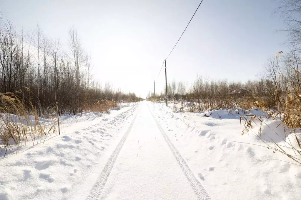 Участок в Тюменская область, Тюмень Большое Царево-1 СНТ,  (10.0 сот.) - Фото 1