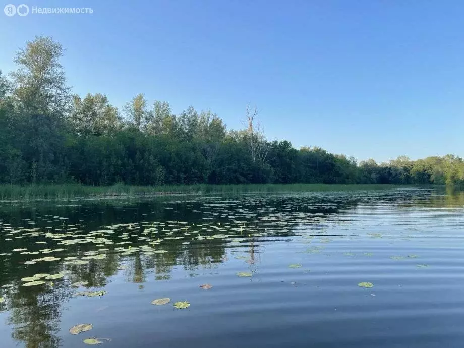 Участок в Красноармейский район, село Криволучье-Ивановка (173.9 м) - Фото 1