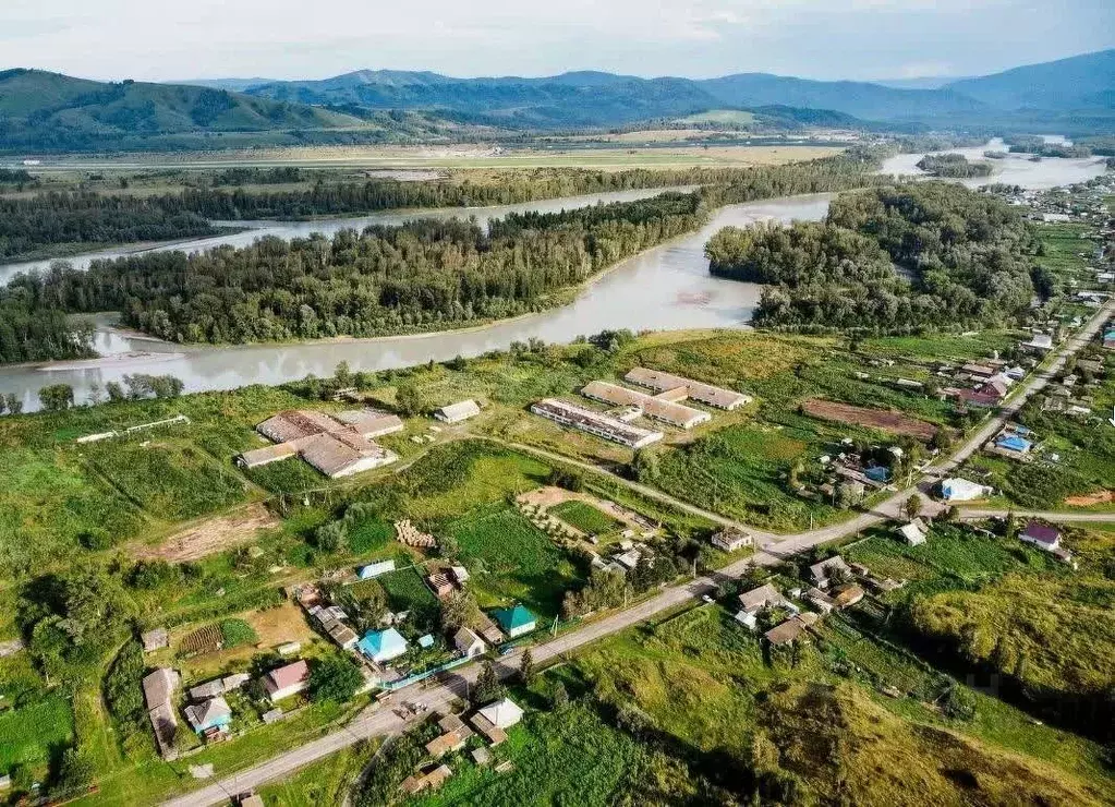 Участок в Алтайский край, Алтайский район, Айский сельсовет, с. Ая ул. ... - Фото 1