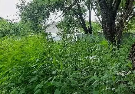 Участок в Московская область, Химки городской округ, д. ... - Фото 1