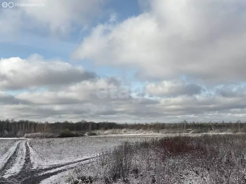 Участок в Саранск, садоводческое товарищество Буревестник (4 м) - Фото 1