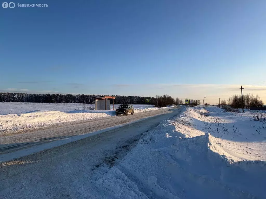 Участок в Владимирская область, Александровский муниципальный округ, ... - Фото 1