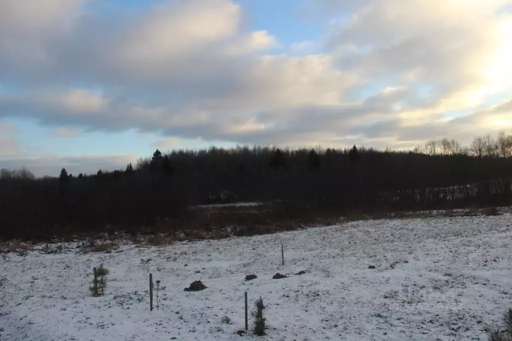 Участок в Московская область, Шаховская муниципальный округ, д. ... - Фото 2