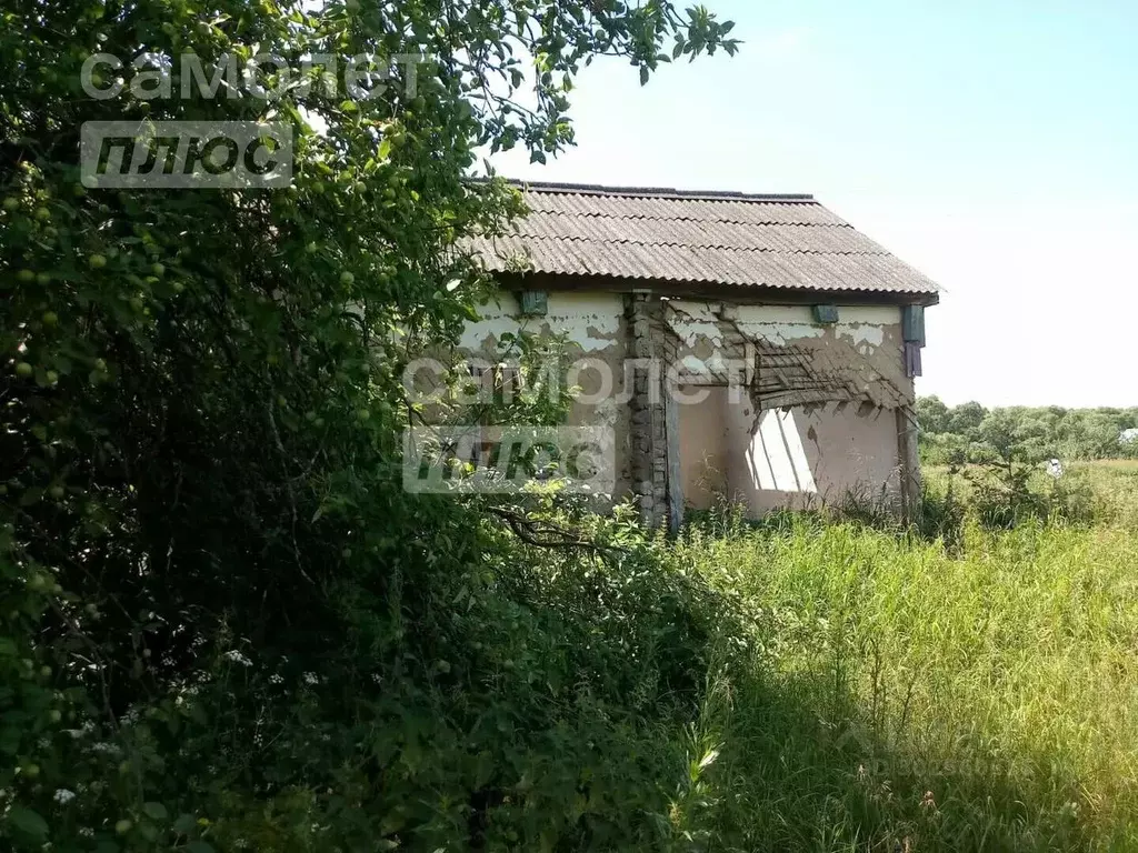 Участок в Липецкая область, Усманский район, с. Студенки Советская ул. ... - Фото 0