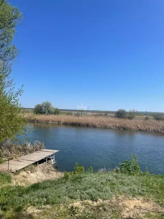 Дом в Воронежская область, Острогожский район, Веретьевское с/пос, с. ... - Фото 1