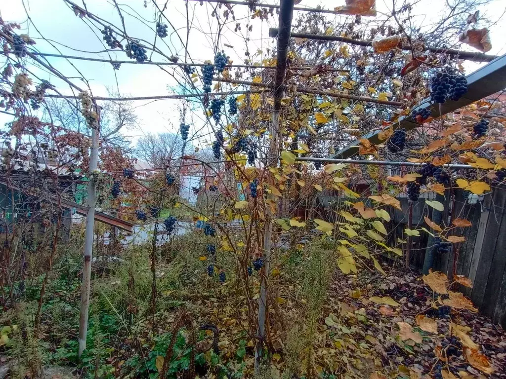 Участок в Ростовская область, Ростов-на-Дону Волочаевский пер. (3.0 ... - Фото 2