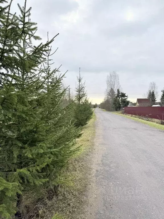 Участок, 6 сот., сельхоз (снт или днп) - Фото 1