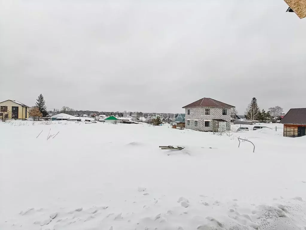 Участок в Новосибирская область, Новосибирский район, Каменский ... - Фото 2