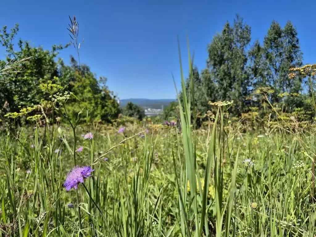 Участок в Челябинская область, Миасс ул. Проектная (9.0 сот.) - Фото 1