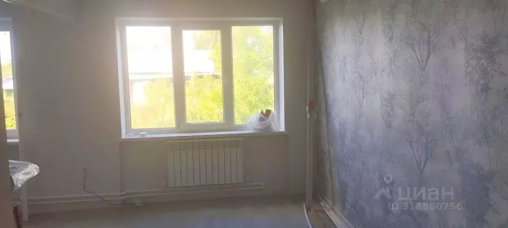 Студия Омская область, Омский район, Богословское с/пос, с. Ульяновка ... - Фото 2