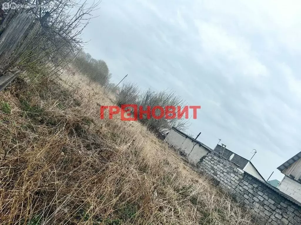 Участок в Новосибирская область, рабочий посёлок Коченёво, улица ... - Фото 1