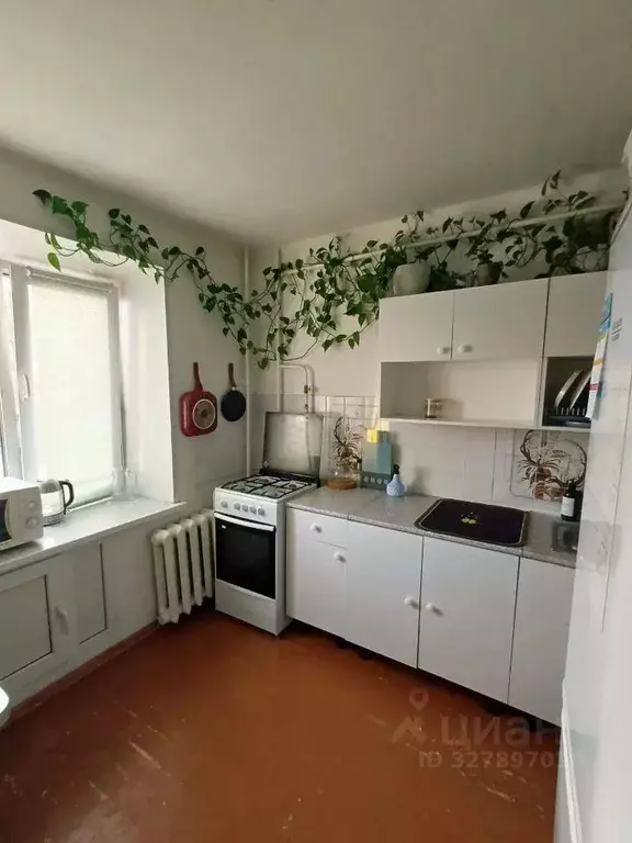 1-к кв. Омская область, Омск просп. Мира, 24/1 (33.0 м) - Фото 1