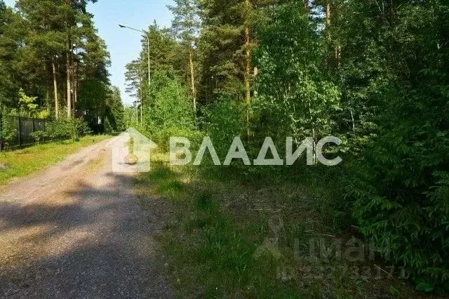 Участок в Ленинградская область, Всеволожский район, Свердловское ... - Фото 2
