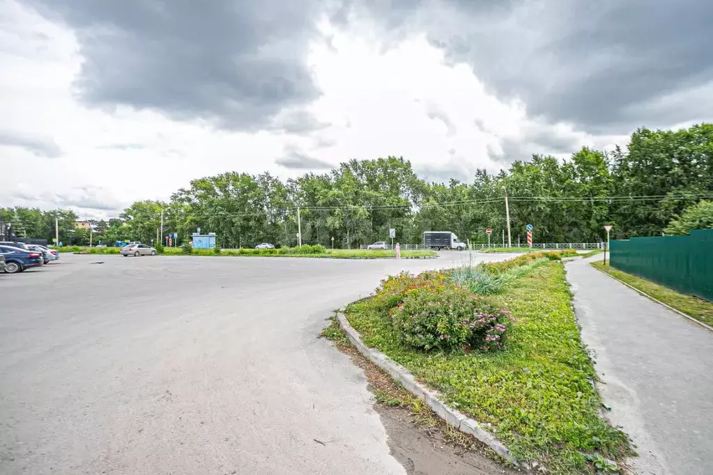 Участок в Новосибирская область, Бердск Радист садоводческое ... - Фото 2