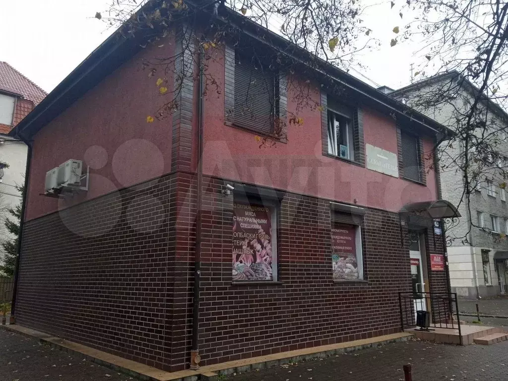 Сдам помещение свободного назначения, 62 м - Фото 1