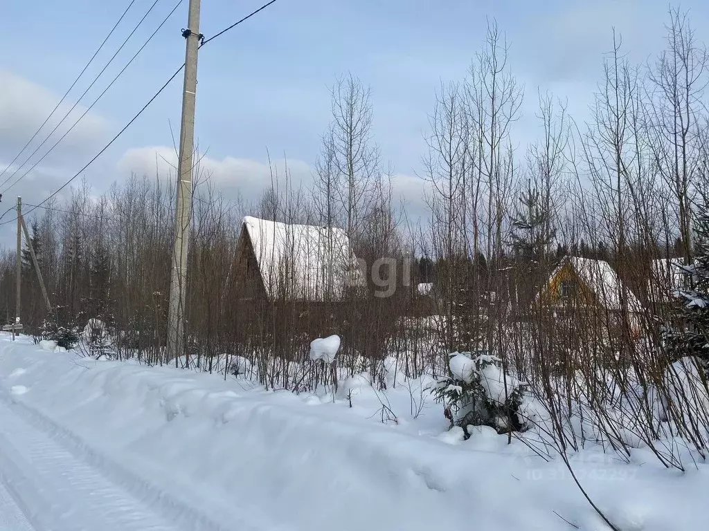 Участок в Коми, Сыктывдинский район, с. Выльгорт, Клен садоводческое ... - Фото 1