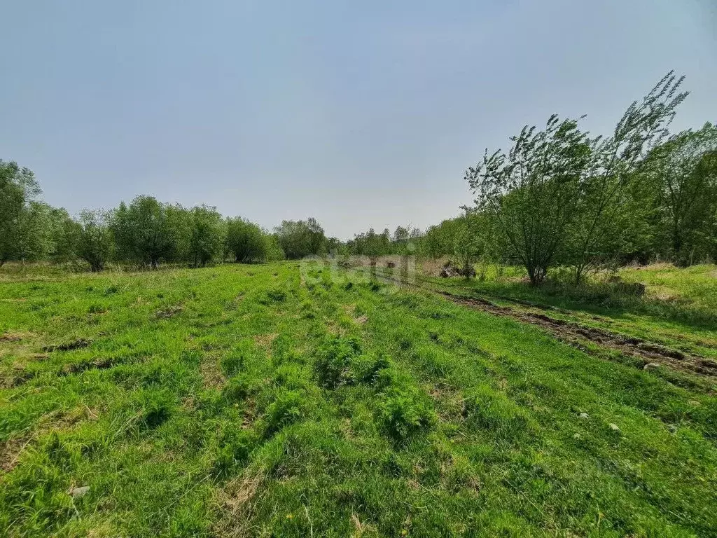 Участок в Камчатский край, Елизовский муниципальный округ, пос. ... - Фото 0