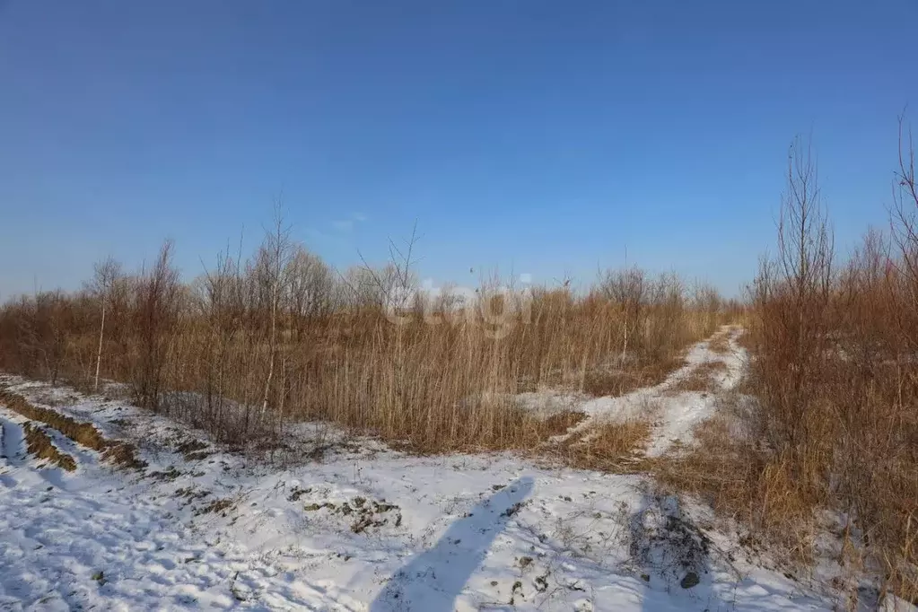 Участок в Хабаровский край, Хабаровский район, Корсаковское с/мо, с. ... - Фото 2