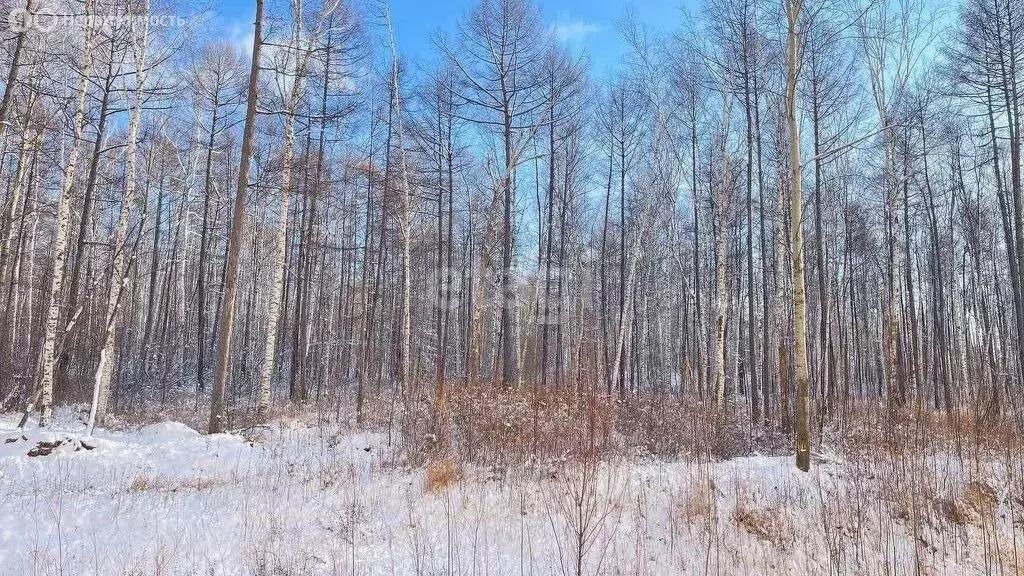 1-комнатная квартира: Комсомольск-на-Амуре, микрорайон Дружба, 32 ... - Фото 0