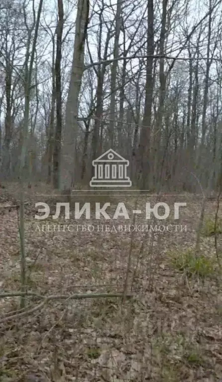 Участок в Краснодарский край, Туапсинский муниципальный округ, ... - Фото 1