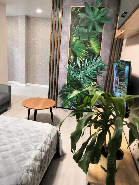 1-к кв. Архангельская область, Мирный Советская ул., 9А (30.0 м) - Фото 2