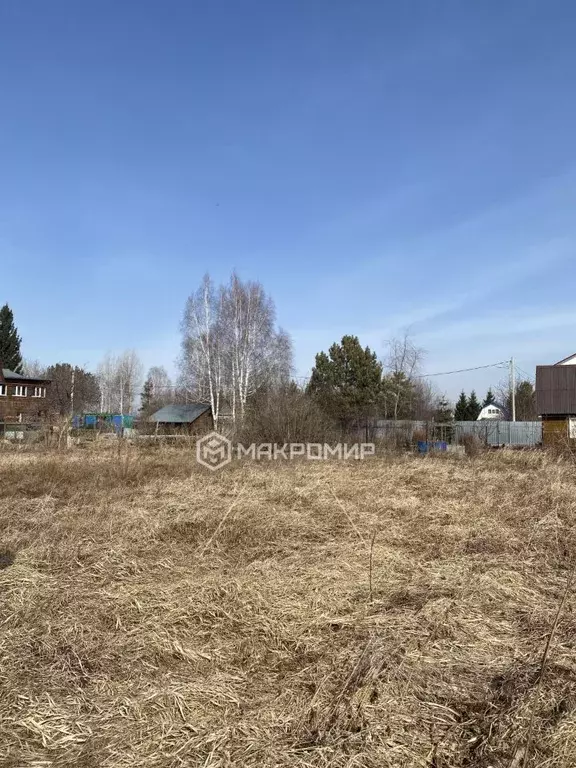 Участок в Новосибирская область, Коченевский район, Дружба-2 СНТ ул. ... - Фото 1