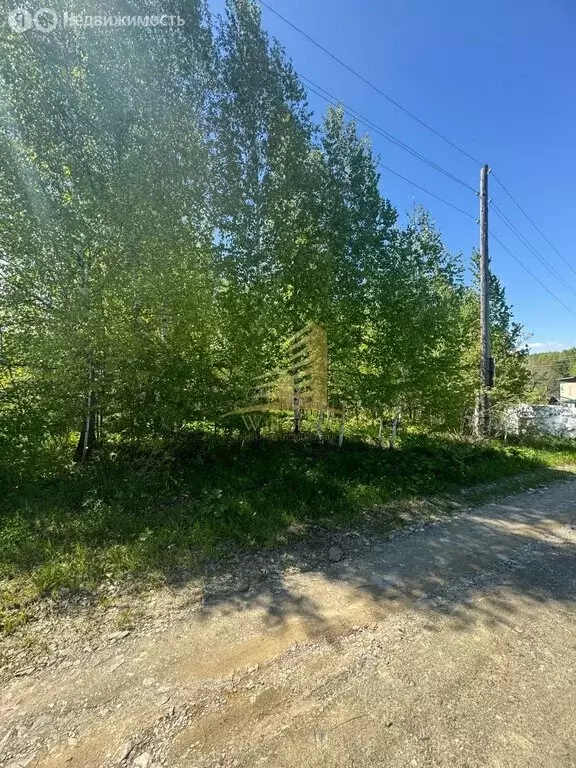 Участок в Барышевский сельсовет, садовое некоммерческое товарищество ... - Фото 0
