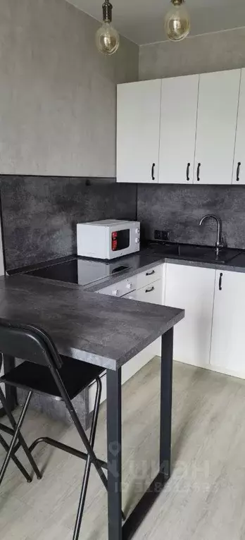1-к кв. Новосибирская область, Новосибирск ул. Ватутина, 93/2 (29.0 м) - Фото 0