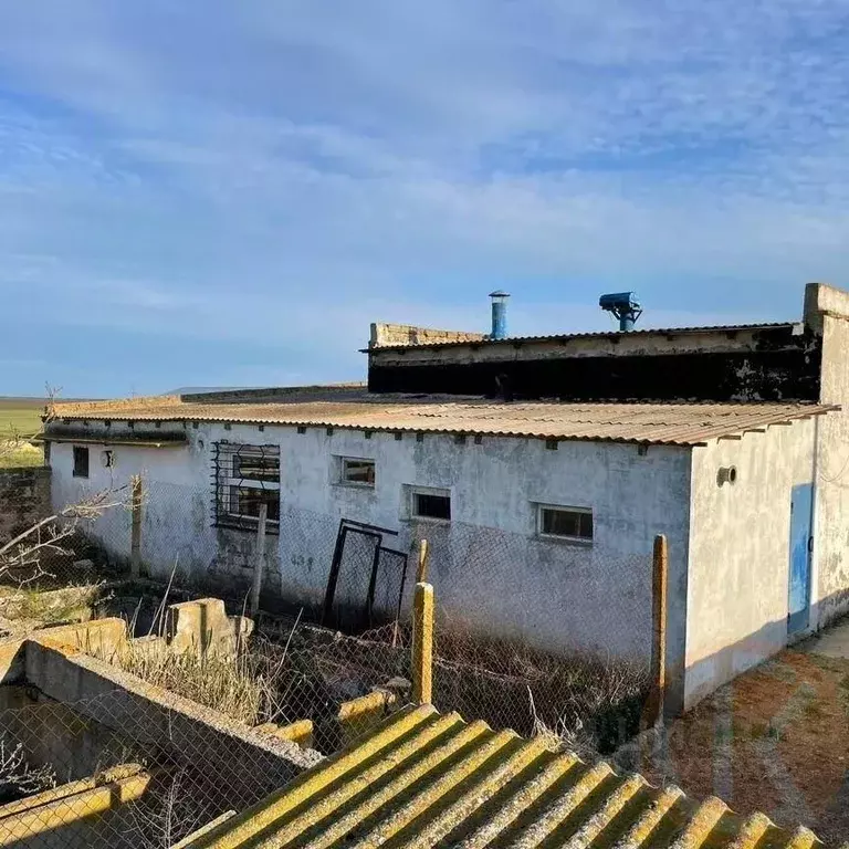 Помещение свободного назначения в Крым, Раздольненский район, ... - Фото 2