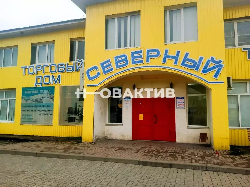 Помещение свободного назначения в Вологодская область, Шексна рп, ... - Фото 0