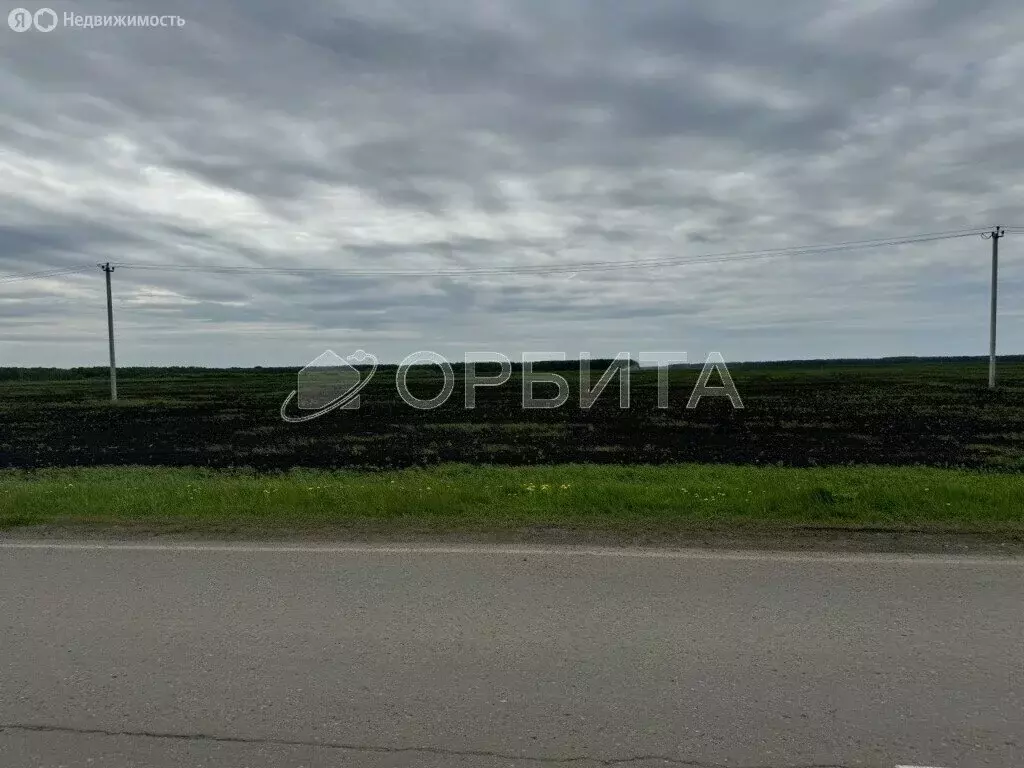 Участок в Тюменский район, деревня Ушакова (24 м) - Фото 0