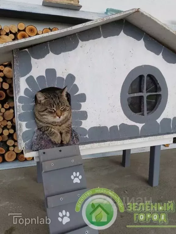 Дом в Калининградская область, Зеленоградский муниципальный округ, ... - Фото 1