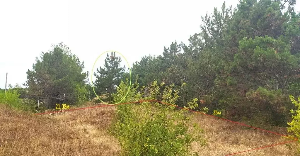 Участок в Севастополь Балаклавский муниципальный округ, Лазурь ТСН, ... - Фото 1
