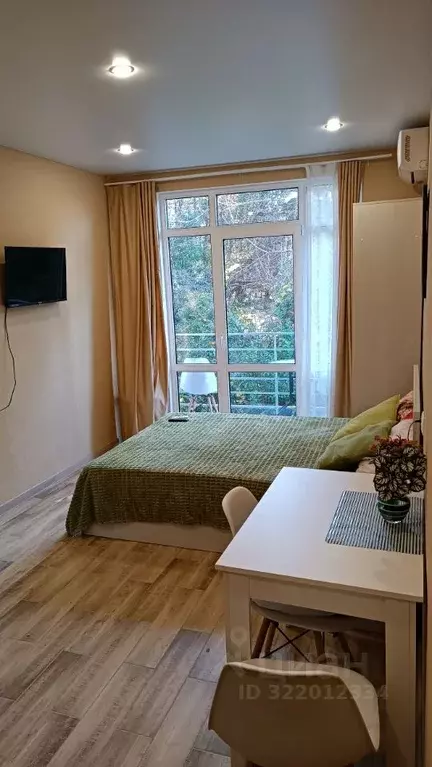 Студия Краснодарский край, Сочи Сухумское ш., 29Б (23.0 м) - Фото 1