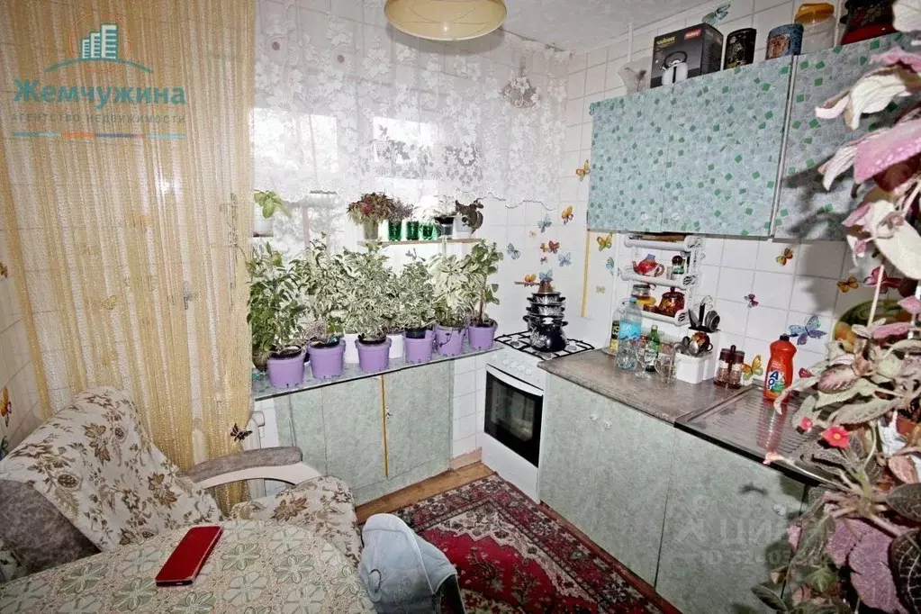 1-к кв. Ульяновская область, Димитровград ул. Курчатова, 26А (30.1 м) - Фото 2