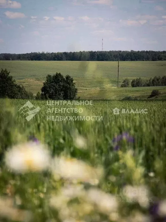 Участок в Рязанская область, Рязанский район, Екимовское с/пос, д. ... - Фото 2