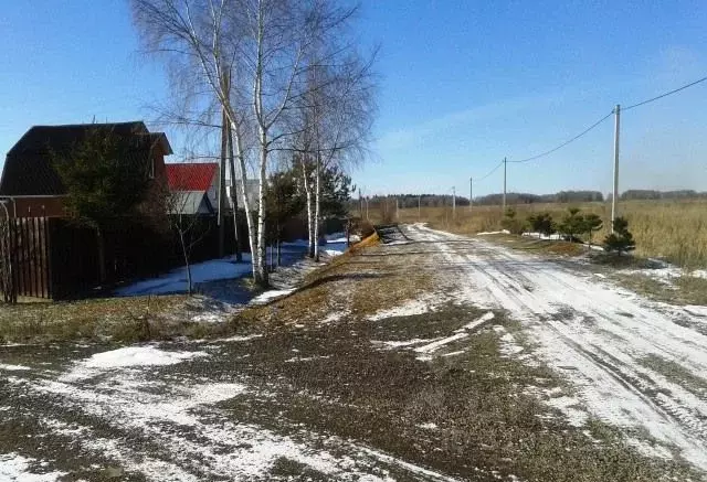 Участок в Московская область, Солнечногорск городской округ, д. ... - Фото 1