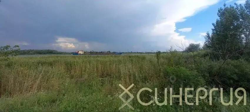 Участок в Ростовская область, Азовский район, Елизаветинское с/пос, ... - Фото 1