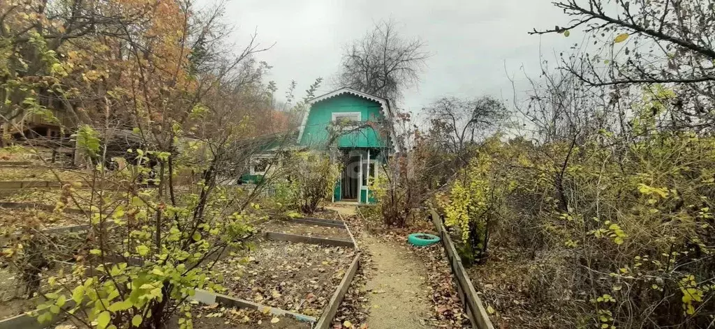 Участок в Амурская область, Благовещенск  (9.6 сот.) - Фото 1