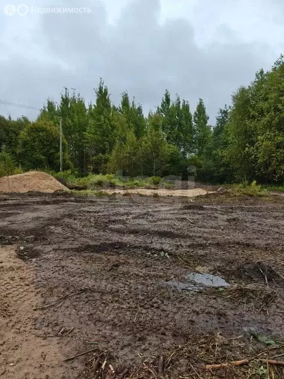 Участок в Выборгский район, Рощинское городское поселение, посёлок ... - Фото 2